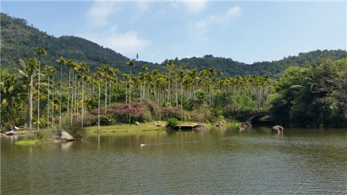 三亞旅游租車帶你體驗你喜歡的旅游方式